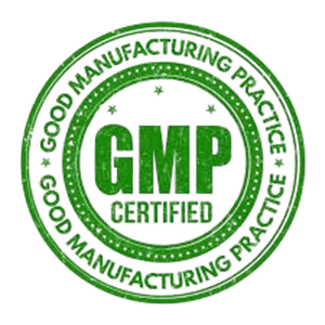 GMP Certified manufacturing showcasing standardized production process ensuring consistent quality
