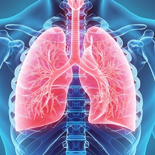 Support healthy breathing daily with tulsi and amla for a strong respiratory system.